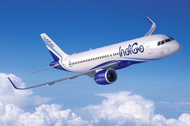 Indigo Airlines 