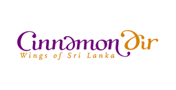 Cinnamon Airlines