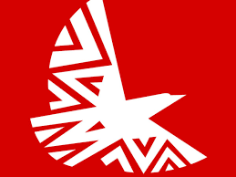 LAM Mozambique Airlines