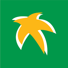 Tara Airlines